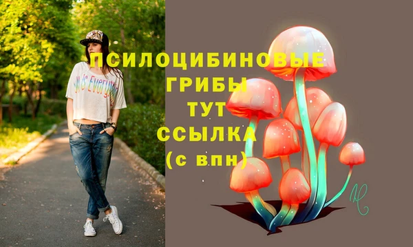 винт Аркадак