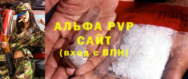 молекула духа Арсеньев