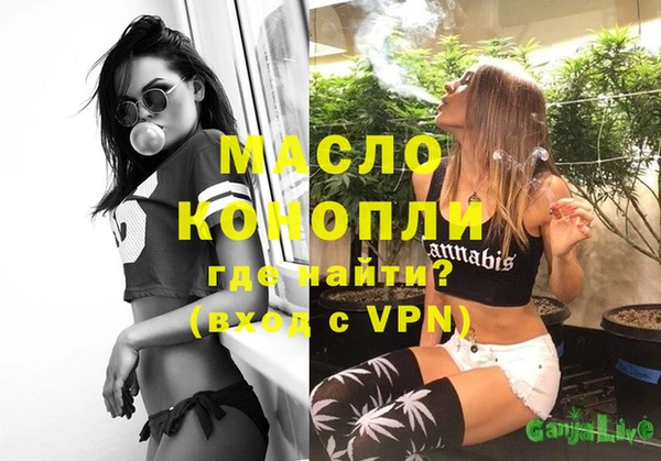 молекула духа Арсеньев