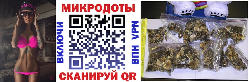 kraken ссылки Малая Вишера Псилоцибиновые грибы ЛСД наркотики